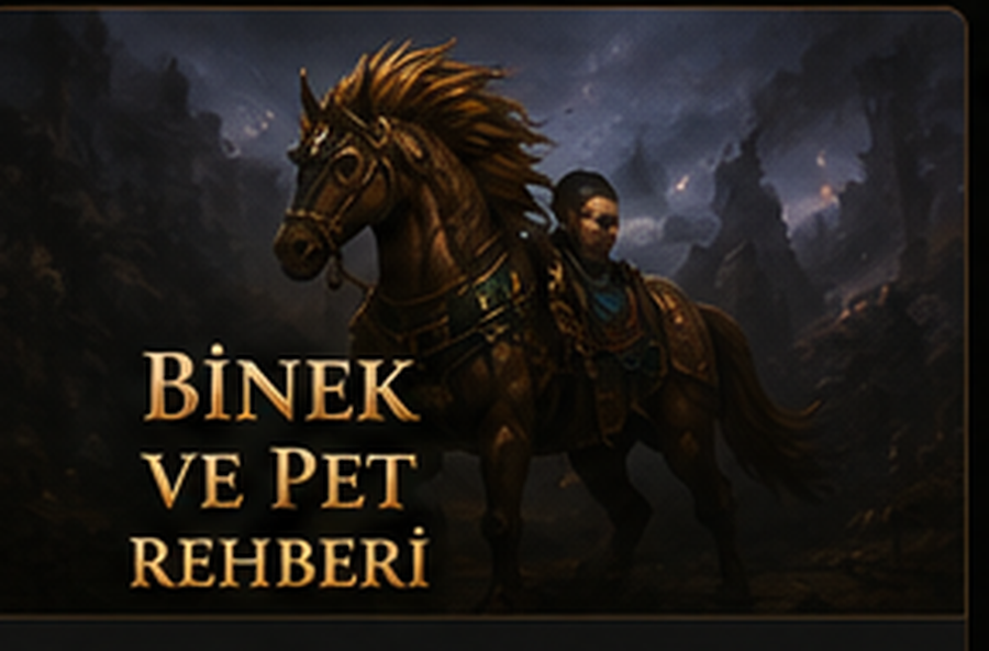 Binek ve Pet Rehberi